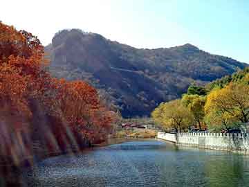 澳门二四六天天彩图库，月牙女鞋